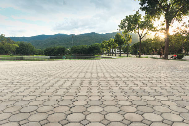 Best Custom Driveway Pavers  in Fredonia, KS